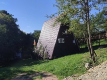 Casa Rustik - accommodation in  North Oltenia (19)
