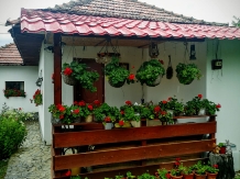 Casa Rustik - accommodation in  North Oltenia (34)