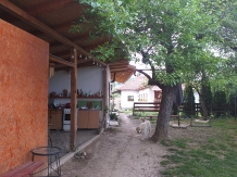 Casa Rustik - accommodation in  North Oltenia (36)