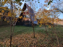 Casa Rustik - accommodation in  North Oltenia (61)