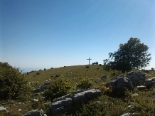 Casa Rustik - alloggio in  Nord Oltenia (79)