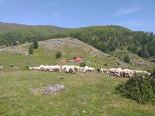 Casa Rustik - alloggio in  Nord Oltenia (94)