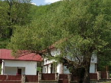 Casa de vacanta LaLa Ville - accommodation in  Olt Valley, Voineasa (19)