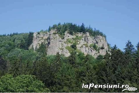 Pensiunea Olt - accommodation in  Harghita Covasna, Tusnad (Surrounding)