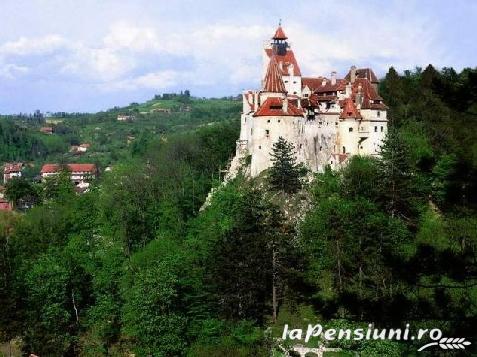 Casa Iacob - cazare Rucar - Bran, Moeciu, Bran (Activitati si imprejurimi)