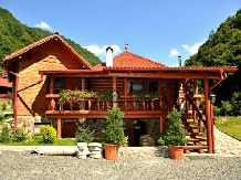 Complex Turistic Cheile Cibinului - accommodation in  Sibiu Surroundings (12)