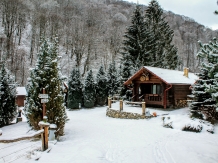 Complex Turistic Cheile Cibinului - alloggio in  Dintorni di Sibiu (29)