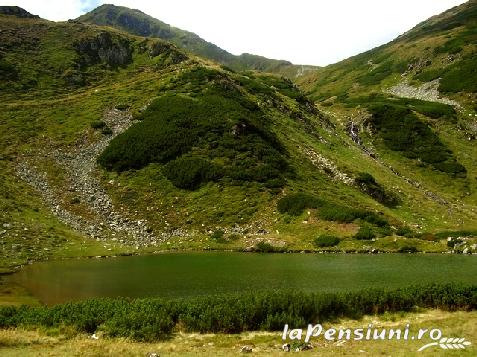 Vila Lucia - cazare Bistrita (Activitati si imprejurimi)