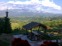 Casa Ema - alloggio in  Rucar - Bran, Moeciu (19)