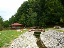 Pensiunea Orhideea - accommodation in  Apuseni Mountains, Valea Draganului (03)