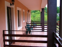 Pensiunea Orhideea - accommodation in  Apuseni Mountains, Valea Draganului (12)