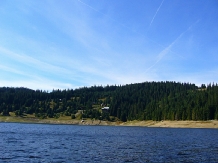 Pensiunea Orhideea - accommodation in  Apuseni Mountains, Valea Draganului (14)