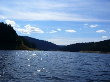Pensiunea Orhideea - accommodation in  Apuseni Mountains, Valea Draganului (15)