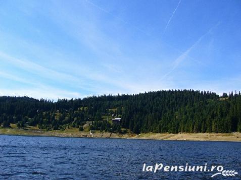 Pensiunea Orhideea - alloggio in  Apuseni, Valea Draganului (Attivit&agrave; e i dintorni)