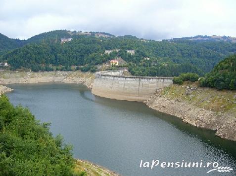 Pensiunea Orhideea - accommodation in  Apuseni Mountains, Valea Draganului (Surrounding)