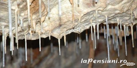 Pensiunea Anisoara - cazare Apuseni (Activitati si imprejurimi) Pensiunea Anisoara - cazare Apuseni (Activitati si imprejurimi)