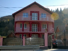 Pensiunea Floare de Bucovina - alloggio in  Gura Humorului, Voronet, Bucovina (01)