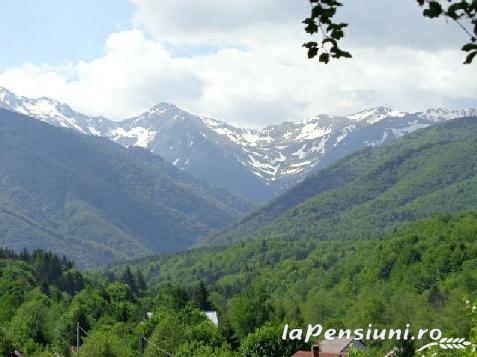 Casa de Sub Sipote - cazare Fagaras, Transfagarasan (Activitati si imprejurimi)