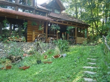 Casa de Vis - accommodation in  Prahova Valley (01)