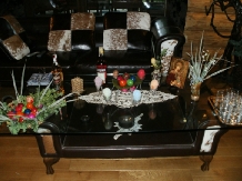 Casa de Vis - accommodation in  Prahova Valley (04)