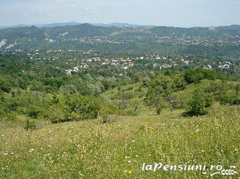 Casa de Vis - accommodation in Prahova Valley (Surrounding) Casa de Vis - accommodation in Prahova Valley (Surrounding)