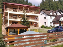 Vila Bianca Dragusin - accommodation in  Rucar - Bran, Moeciu (05)
