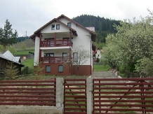 Vila Cetina - accommodation in  Bucovina (06)