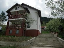 Vila Cetina - accommodation in  Bucovina (36)