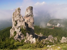 Vila Cetina - cazare Bucovina (39)