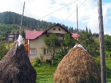 La Mamina - alloggio in  Bucovina (15)