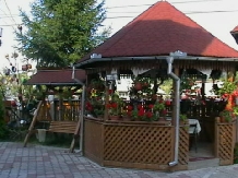 Pensiunea Georgiana - accommodation in  Maramures Country (05)