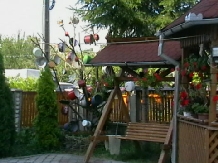 Pensiunea Georgiana - accommodation in  Maramures Country (06)