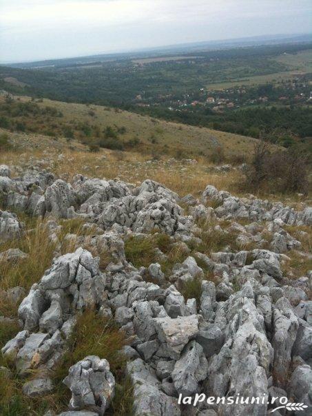 Casa dintre lacuri - cazare Nordul Olteniei (Activitati si imprejurimi) Casa dintre lacuri - cazare Nordul Olteniei (Activitati si imprejurimi)