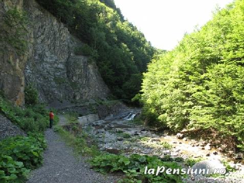 Vila Marlen - cazare Moldova (Activitati si imprejurimi)