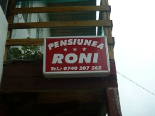 Rural accommodation at  Pensiunea Roni