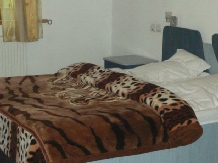 Pensiunea Roni - accommodation in  Prahova Valley (04)