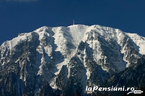 Pensiunea Roni - accommodation in  Prahova Valley (Surrounding)