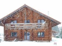 Cabana Trofeul Muntilor Belis - accommodation in  Apuseni Mountains, Belis (02)