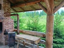 Cabana Trofeul Muntilor Belis - accommodation in  Apuseni Mountains, Belis (19)