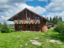 Cabana Trofeul Muntilor Belis - accommodation in  Apuseni Mountains, Belis (20)