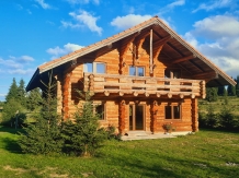 Cabana Trofeul Muntilor Belis - accommodation in  Apuseni Mountains, Belis (21)