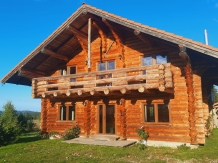 Cabana Trofeul Muntilor Belis - accommodation in  Apuseni Mountains, Belis (22)