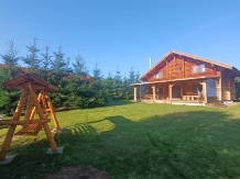 Cabana Trofeul Muntilor Belis - accommodation in  Apuseni Mountains, Belis (32)