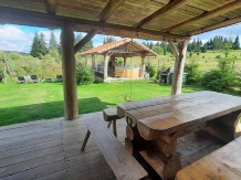 Cabana Trofeul Muntilor Belis - accommodation in  Apuseni Mountains, Belis (36)