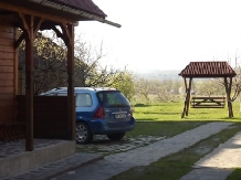 Pensiunea Adriana - cazare Tara Maramuresului (19)