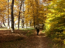 Vila Branca - cazare Rucar - Bran, Rasnov (07)