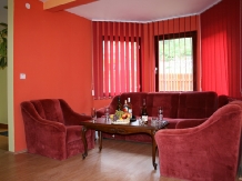 Vila Andreea - alloggio in  Sovata - Praid (04)