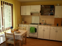 Vila Andreea - accommodation in  Sovata - Praid (15)