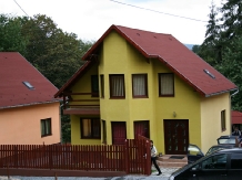 Vila Andreea - accommodation in  Sovata - Praid (22)