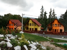 Vila Andreea - accommodation in  Sovata - Praid (23)